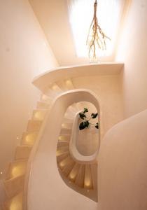 Casa Vida Luxury Villa 6bd 7br sleeps up to 19 in Aldea Zama Tulum