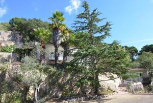 Club Villamar - Jaime 2