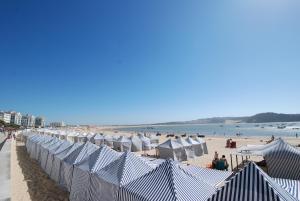 Laranjeira - House with private garden and pool