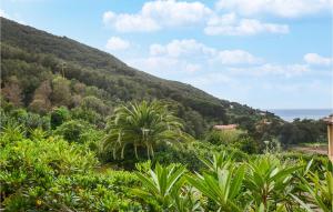 Cozy Apartment In Nisportino With Wifi