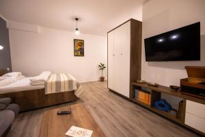 Central Place Apartment Timisoara 2