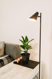 Black&White Нова стильна квартира на Київській