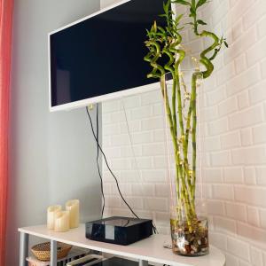 Appartements RIVIERA STUDIO CANNES CENTER : photos des chambres