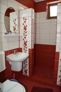 Pensiunea Darius Costinesti