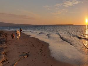 Camping Village S'Ena Arrubia img67