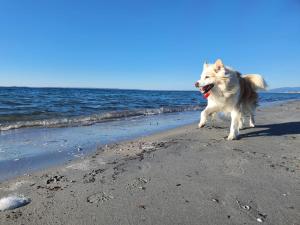 Camping Village S'Ena Arrubia img70