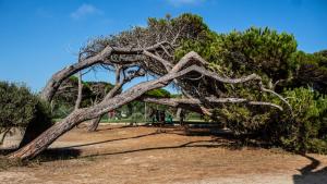 Camping Village S'Ena Arrubia img79