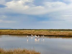 Camping Village S'Ena Arrubia img84