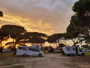 Camping Village S'Ena Arrubia img90