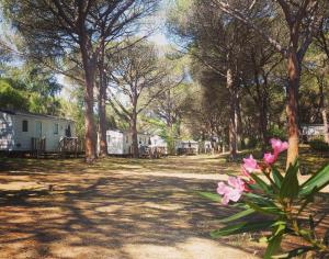Camping Village S'Ena Arrubia img99