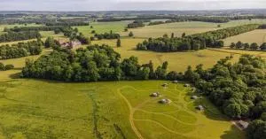 Wild Meadow, Lodge Farm, East Raynham - Colkirk