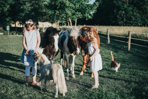 Apartment Country House Zaton