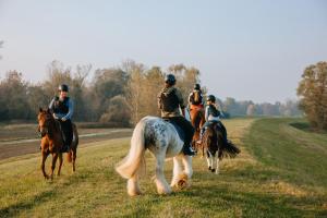 Apartment Country House Zaton 