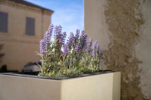Appartements Love in Taulignan : photos des chambres