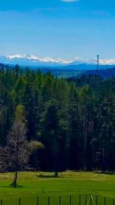 Urokliwy drewniany dom z widokiem na Tatry