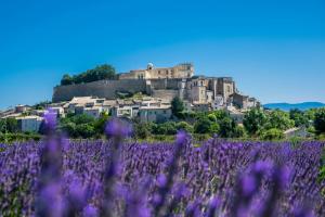 Appartements Love in Taulignan : photos des chambres