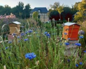 Maisons de vacances Le gite du pre dorė : photos des chambres