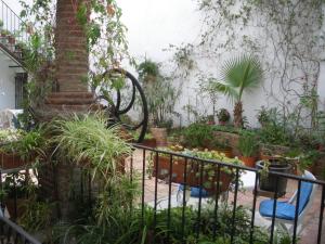 B&B / Chambres d'hotes Le Presbytere : photos des chambres