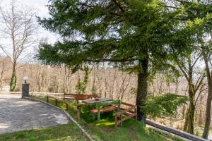 Casa Vacanze Tuscan Retreat