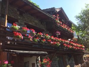 Appartements Le p'tit coin montagne : photos des chambres