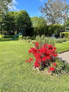 Maisons de vacances Gite des 4 chemins baie de Somme : photos des chambres