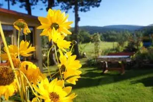 Dom na Przedgórzu-Apartamenty z widokiem na Góry - Jindřichovice pod Smrkem