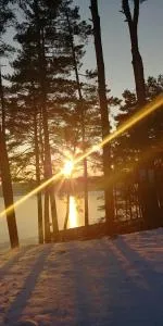 Domek w sercu lasu w Borach Tucholskich - Osówek