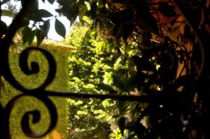 Borgo Lucignanello Bandini