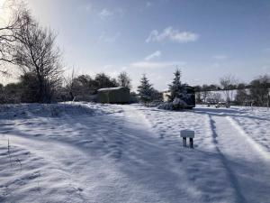 The Shepherds Hut with cosy logburner