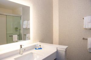 Standard King Room room in Holiday Inn Express and Suites Tuscaloosa East Cottondale