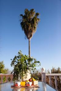Casa Rural La Palmera