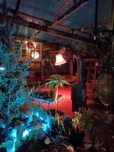 B&B / Chambres d'hotes Le petit Permadise : photos des chambres
