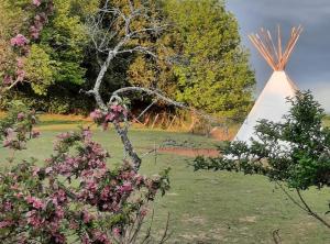 Tentes de luxe Tipi + Gite pour famille nature : Tente