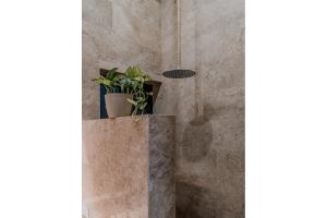 Rincón del Cielo Rooftop with glass walled pool