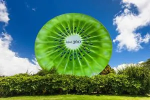 Guest House in Tepuke - 蒂普基