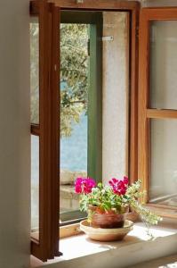 Secluded fishermans cottage Cove Vela Studena, Brac - 20904