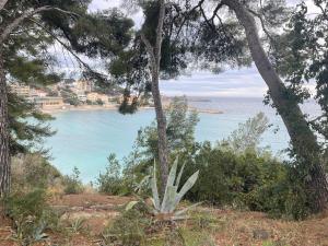 Appartements Magnifique T2 vieux Bandol : photos des chambres