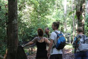 Orangutan Kelotok Houseboat for 6 person