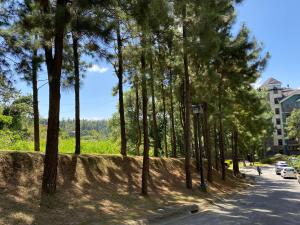 Crosswinds Family Standard Suite