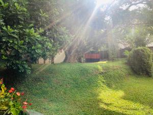47 Alfred House - Free Pickup from Kandy City
