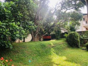 47 Alfred House - Free Pickup from Kandy City