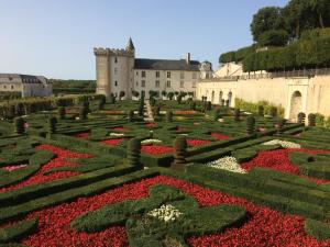 Maisons d'hotes La Petite Jucherie : photos des chambres