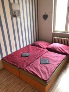 Easy Backpacker Old Town