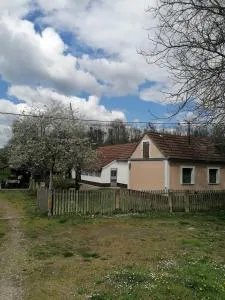 Orljak - Bosanski Šamac