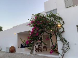 VILLA NOSTOS ANTIPAROS
