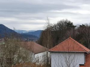 Appartements duplex cocooning a 10 min a pied du centre ville : photos des chambres