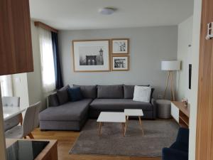 Vila Borova Apartman Rajin