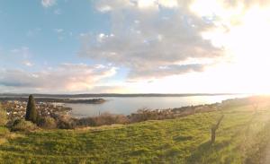 Olive Gardens Cottage