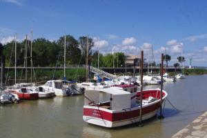 Maisons de vacances Gites les Martinauds : photos des chambres