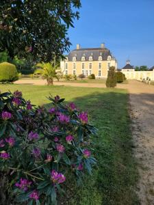 B&B / Chambres d'hotes Chateau du Boschet chambre de l’infatigable gentilhomme : photos des chambres